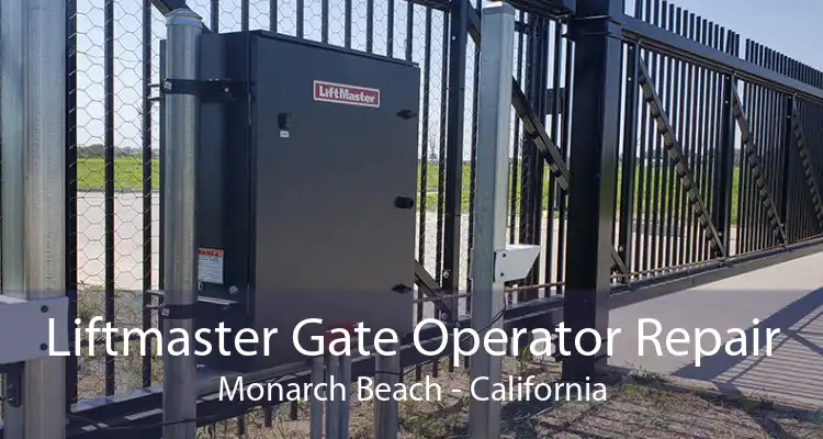 Liftmaster Gate Operator Repair Monarch Beach - California